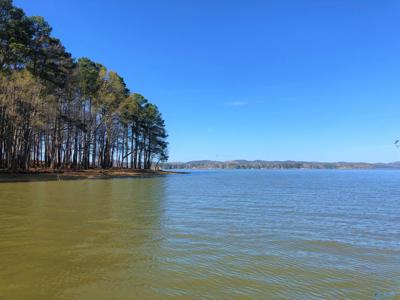 Lot 7 Little River Landing