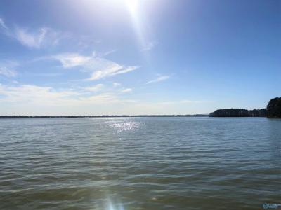 Lot 8 Little River Landing