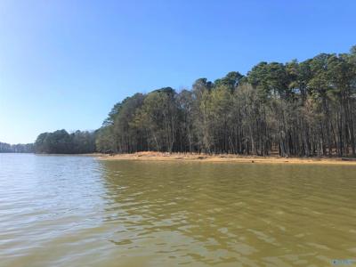 Lot 17 Little River Landing