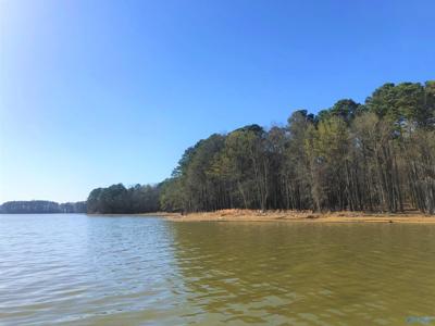 Lot 19 Little River Landing