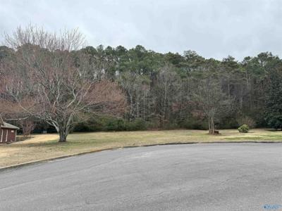 Lot 8A Brownwood Lane