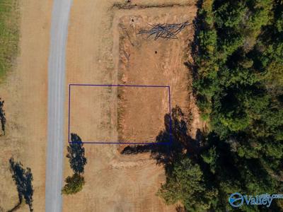 LOT 19 Lake Creek Drive