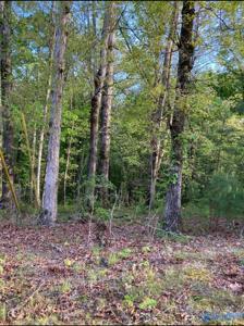 Lot 1 Louise Avenue