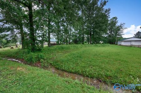 .36 acres Woodhaven Street