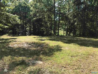 Lot 6 Cheyenne Drive