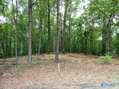 Lot 77 Broken Arrow