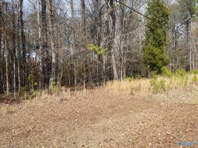 Lot 4 Indian Lake Drive