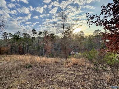 Lot 4 County Road 51