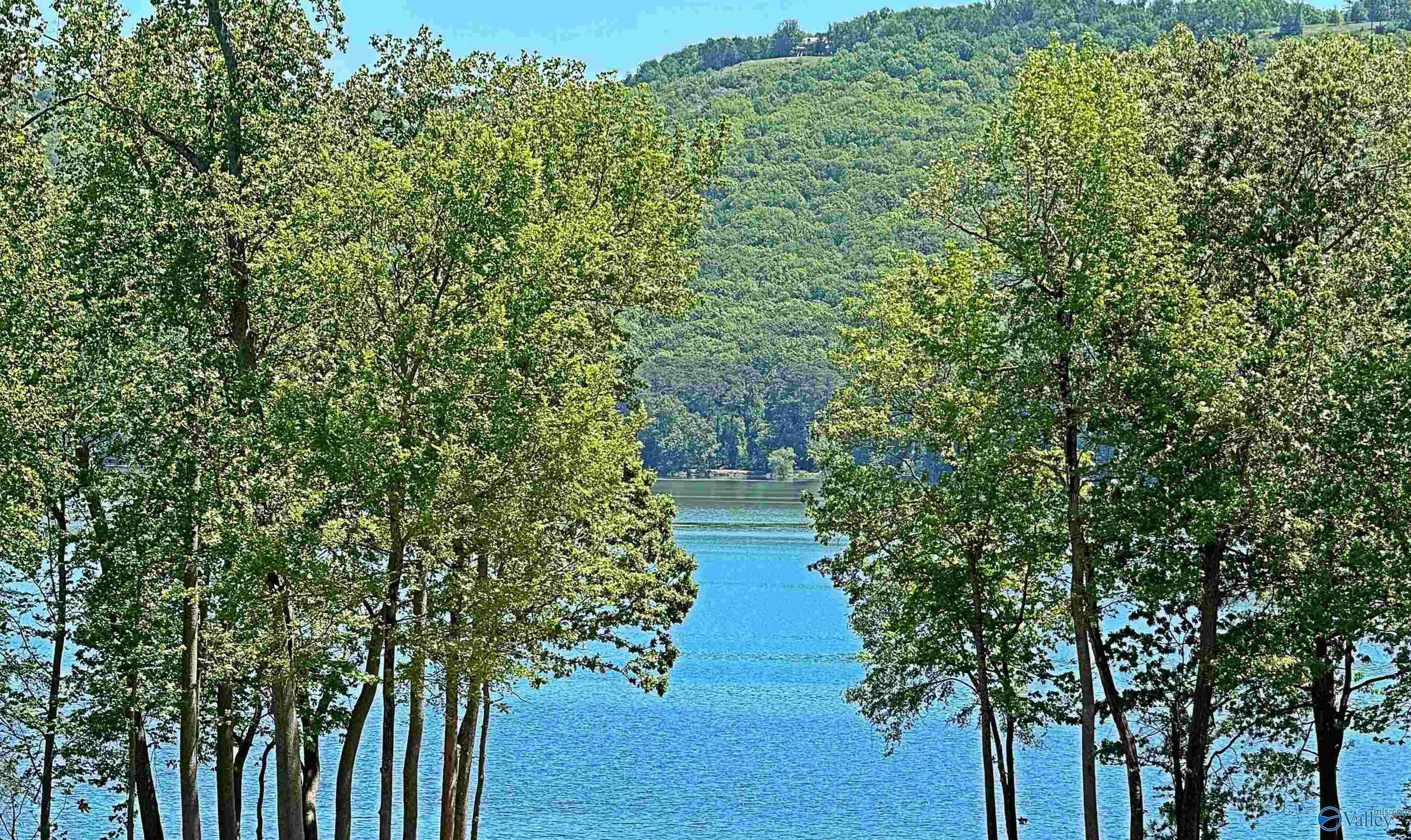 Image 1: View across the street toward the lake.