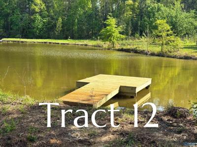 Tract 12 County Road 534