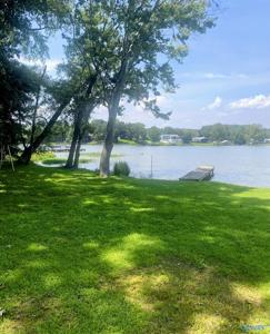 631 County Road 146