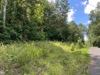 895 County Road 205