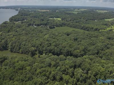 49.59 +/- Acres Snake Road