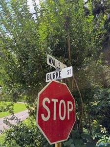 Lot 10 Walls Street