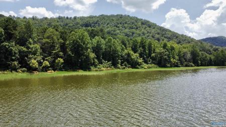 148 acres County Road 21