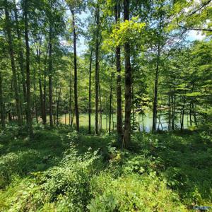 LOT 25 Legendary Parkway