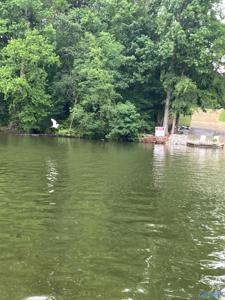 226 Reynolds Drive