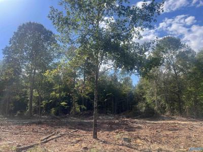 Lot 2, Tract 3 Summer Breeze Drive