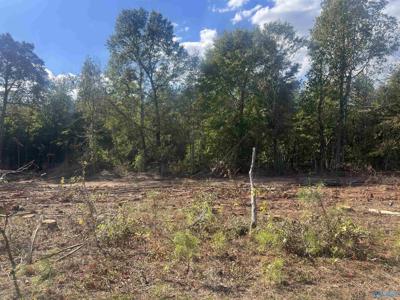 Lot 3, Tract 3 Summer Breeze Drive