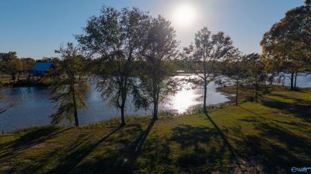 Lot 36 County Road 115