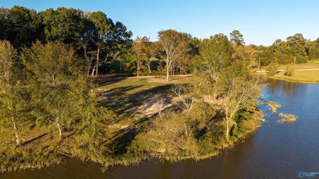 Lot 25 County Road 115