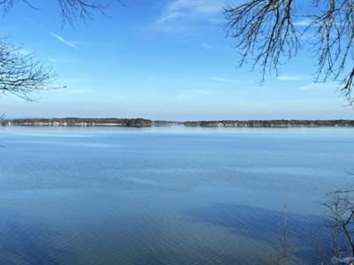 Lot 7 County Road 519