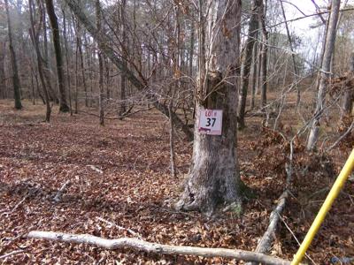 Lot 37 County Road 243