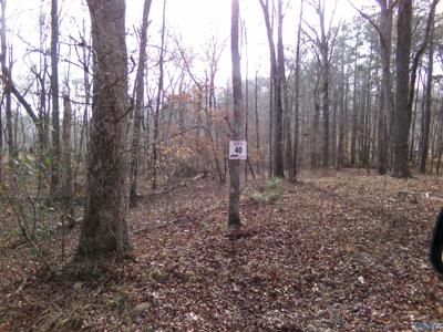 Lot 40 County Road 243