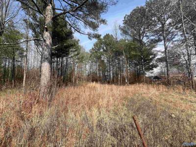 LOT 128 Spring Creek Campground