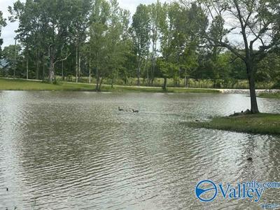 Lot 6 & 7 County Road 115