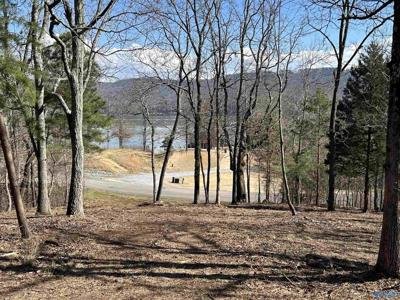 Lot 149 Lookout Mountain Drive