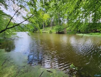 827 County Road 949