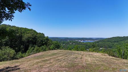 Tracts 4&5 Rocky Branch Road