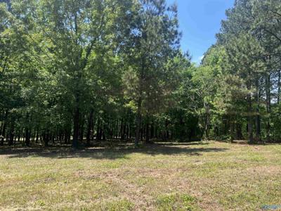 Lot 1 County Road 1009