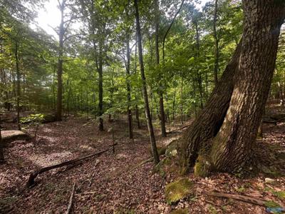 4.4 acres Wooten Road