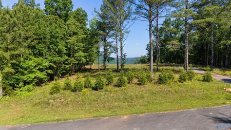 1450 County Road 137
