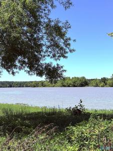 Lot 41 County Road 1008