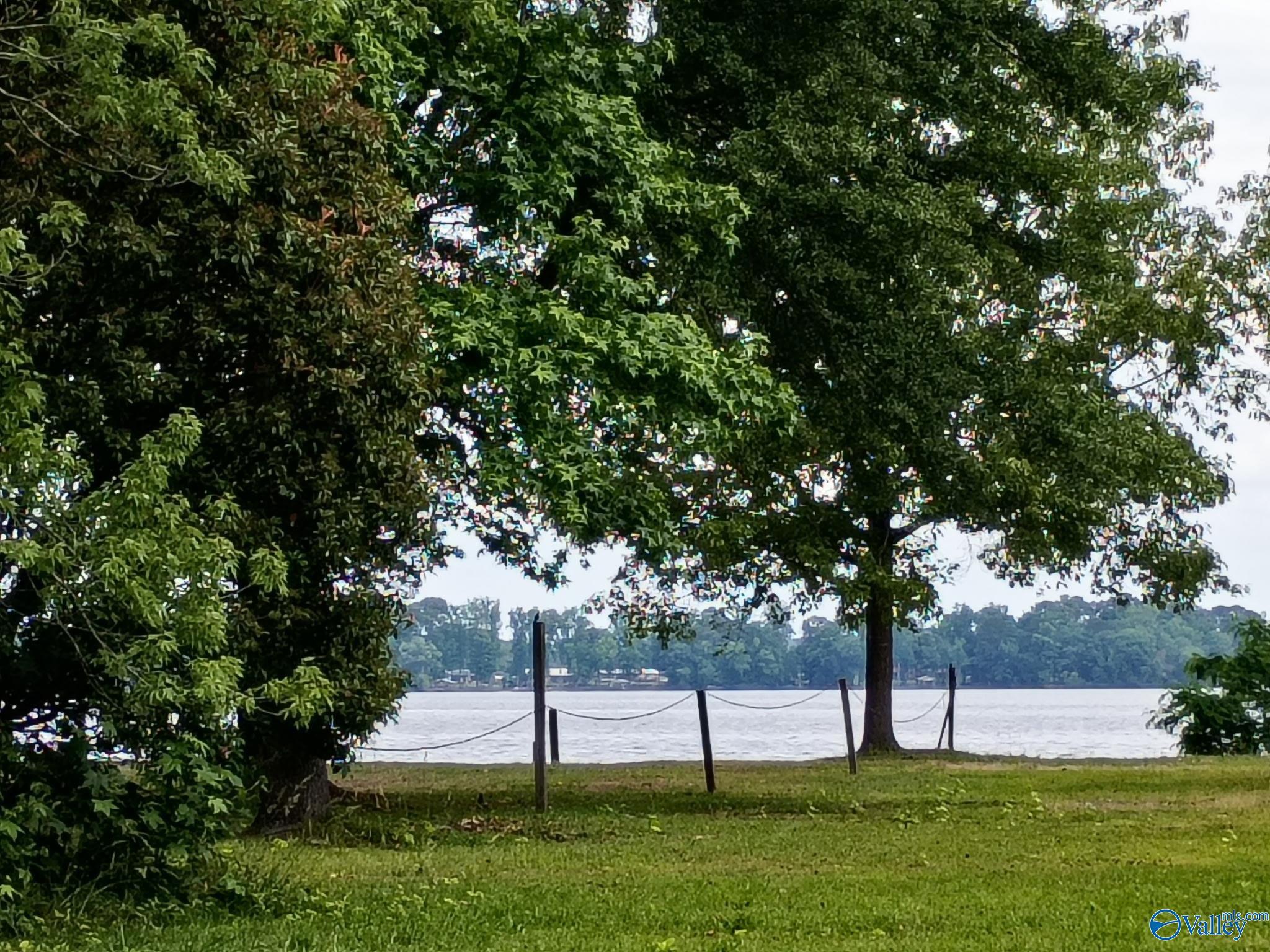 Image 2: Weiss Lake View
