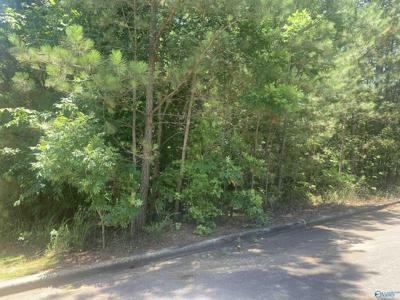 LOT 33 Cade Circle