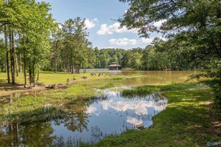 89 Golden Pond Road