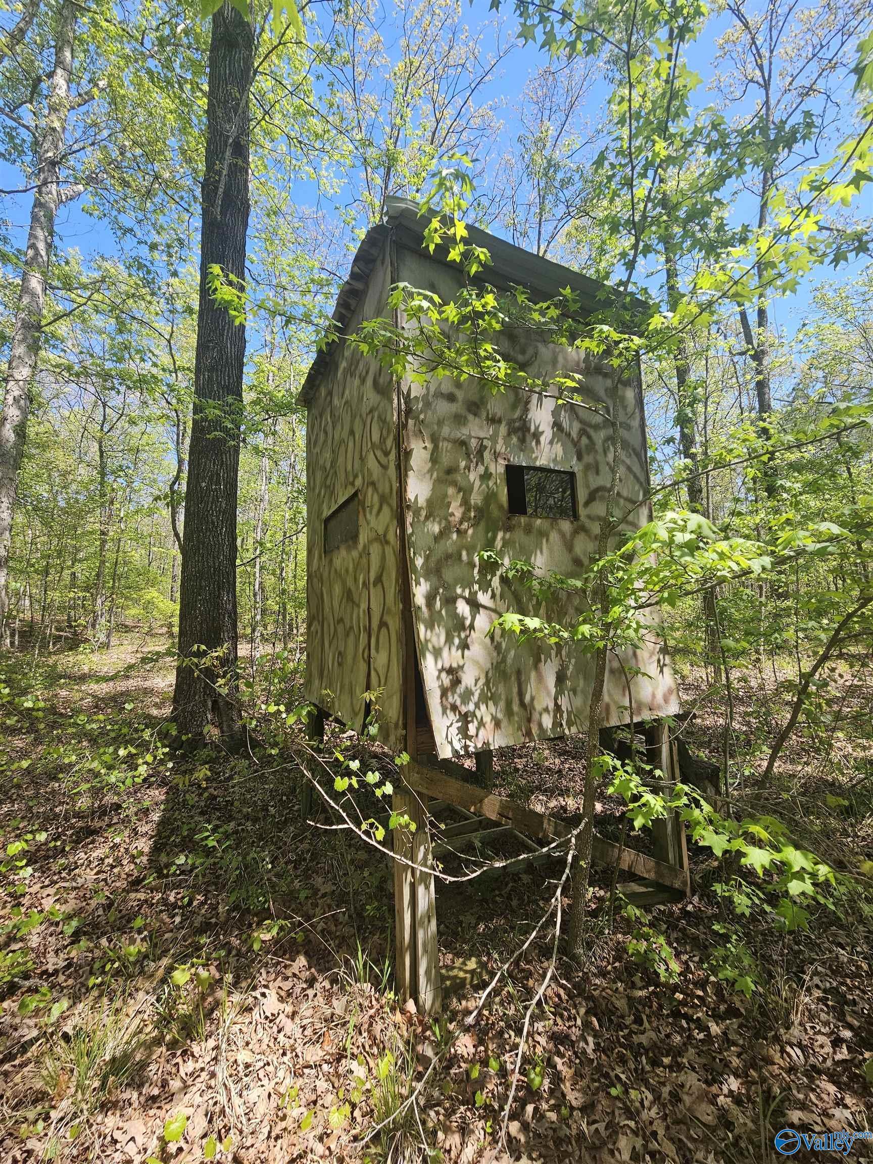 Image 4
