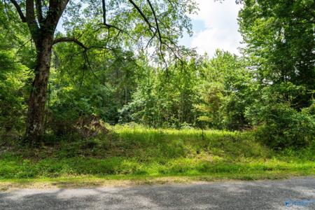 5.37 Acres Mount Carmel Drive