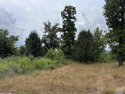 75 Vista Trail