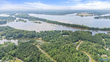 28A County Road 819
