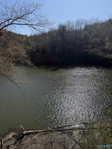Lot 11 County Road 3782
