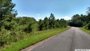 Lot 107 Drew Drive