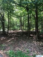 Lot 10 Pine Island Circle