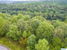 Lot 9 Turkey Bend Drive