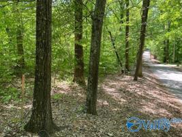 Lot 5 BLK 45A Blue Springs Drive