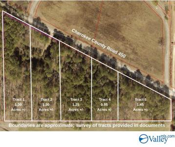 Tract 2 County Road 450